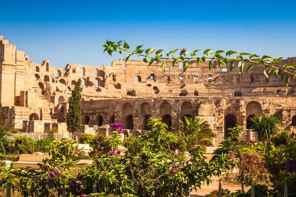 Tunisia. El Jem (ancient Thysdrus). Ruins of the largest colosse — Stock Photo, Image