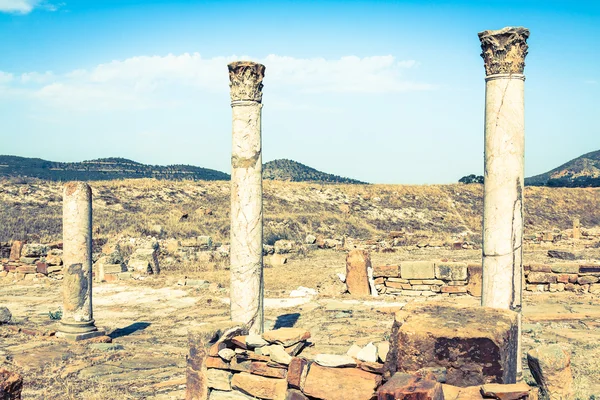 Ruiner Roman Capitol Thuburbo Majus, Tunisia – stockfoto