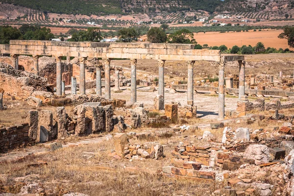 Thuburbo majus, Tunisia a few of the remaining pillars which onc — Stock Photo, Image