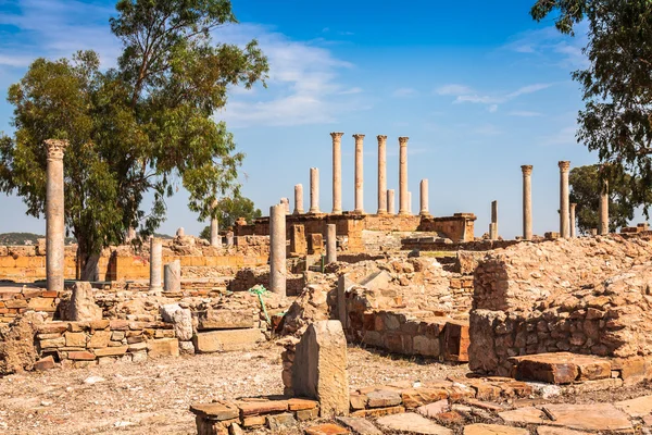 Thuburbo majus, Tunisie quelques-uns des piliers restants — Photo