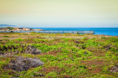 Beach katedrallerin Ribadeo, Galiçya, İspanya