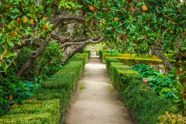 The Royal Palace gardens, Aranjuez,Community of Madrid,Spain,Eur — Stock Photo, Image