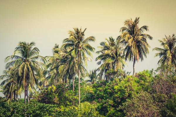 Fundo de férias de viagem - Ilha tropical com resorts - Phi - — Fotografia de Stock