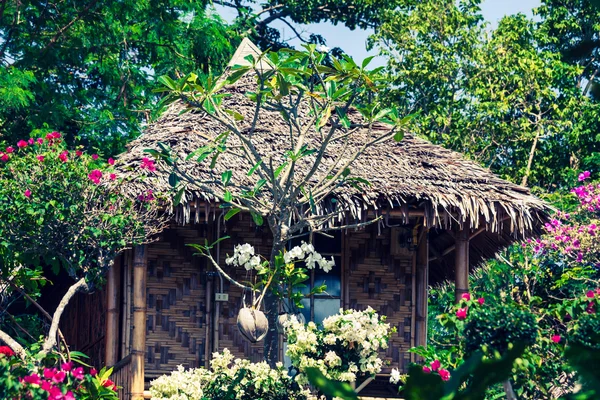Houten bungalow resort in ko phi phi island, thailand — Stockfoto