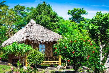 ahşap bungalow resort ko phi phi Island, Tayland