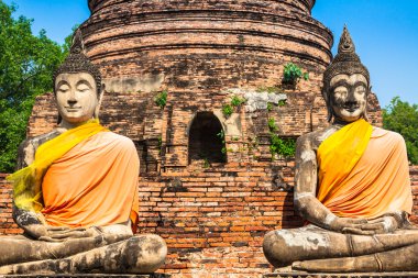 ayutthaya, Tayland ın turuncu bant içeren hizalanmış Buda heykelleri