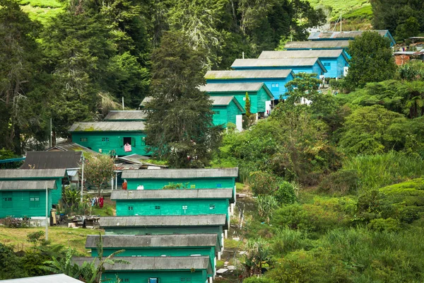 Çay plantasyon içinde Cameron Highland görünümünü manzara — Stok fotoğraf