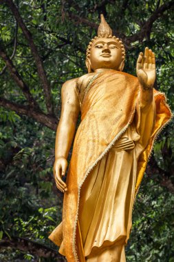 Krabi, Tayland Buda heykeli