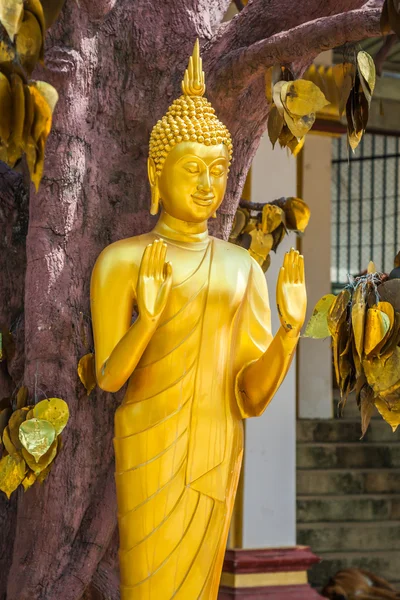 Socha Buddhy v chrámu tiger s zlaté listy, krabi, thailan — Stock fotografie