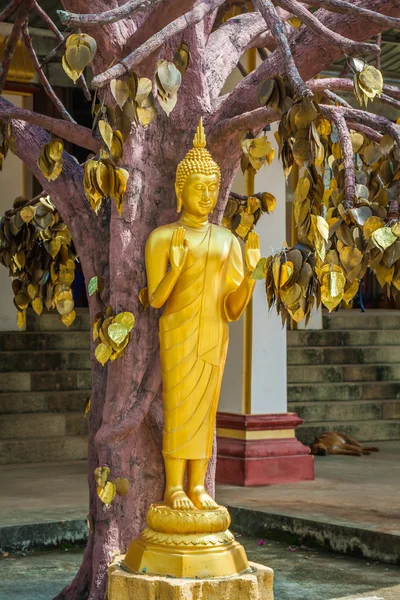 Buddha statue in Tiger temple with golden leaves, Krabi, Thailan — Stock Photo, Image