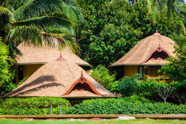 tropik sahil evi Adası koh Samui Tayland