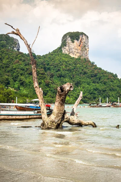 Tradycyjny tajski łodzi na plaży Railay — Zdjęcie stockowe