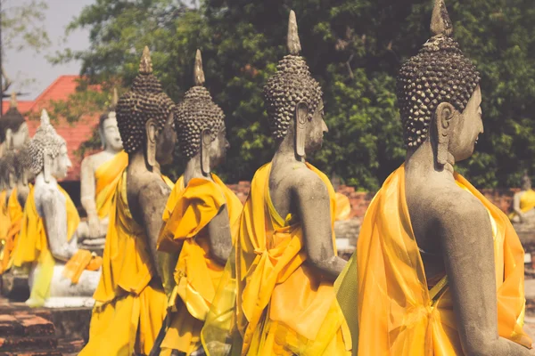 Estatuas de Buda Ayutthaya Tailandia —  Fotos de Stock