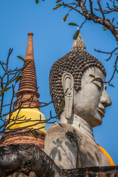 Buddha of statue in Ayutthaya Thailand — Stock Photo, Image