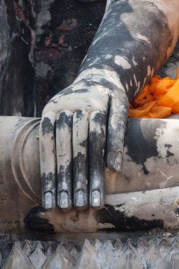 Harabe görüntü Ayutthaya tarihi park, Thail Buda'nın eli