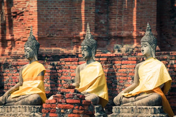 Buda heykelleri Ayutthaya Tayland — Stok fotoğraf