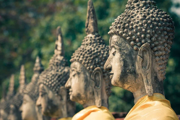 Statues de Bouddha Ayutthaya Thaïlande — Photo