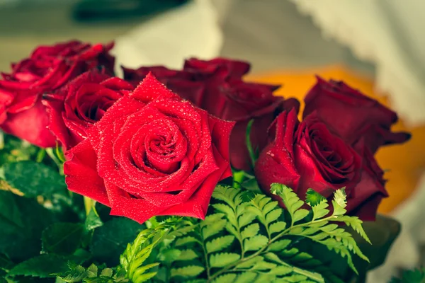 Κόκκινα τριαντάφυλλα πάνω από την ημέρα του Αγίου Βαλεντίνου — Φωτογραφία Αρχείου