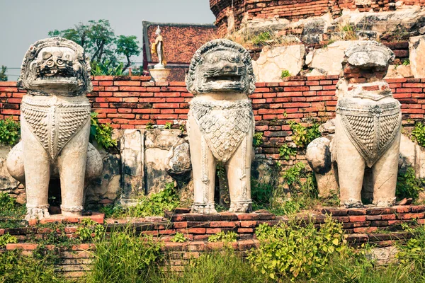 Statue lion style cambodia around pagoda ruins. In " Wat Thammik — Stock Photo, Image