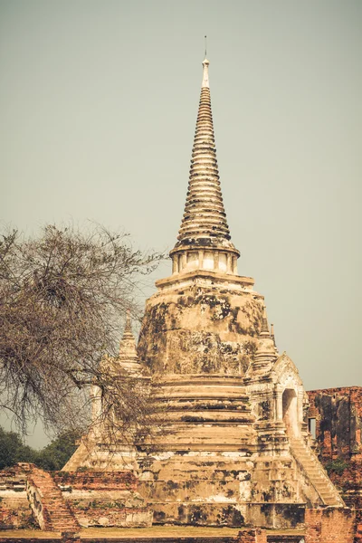 Wat Phrasisanpetch dans le parc historique d'Ayutthaya, Ayutthaya , — Photo