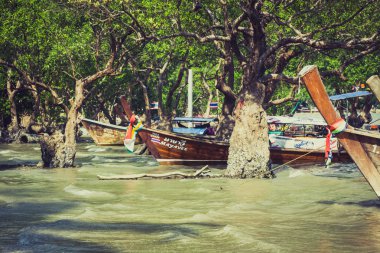 Krabi, Tayland, Aralık 11, 2013:Railay beach, Krabi, Andaman Denizi