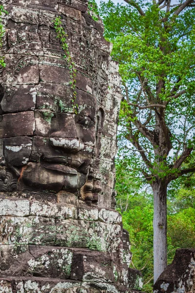 カンボジア、シームレイプのアンコール・トムにあるバイヨン寺院の顔. — ストック写真