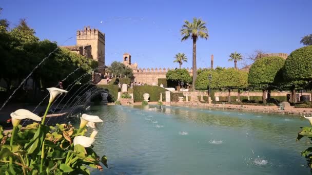 Alcazar de los Reyes Cristianos în Cordoba, Andaluzia, Spania — Videoclip de stoc