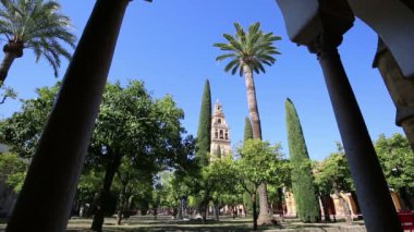 Endülüs içinde (şaşırtıcı Camii ve karışımı Katedrali) Cordoba, İspanya. Portakal ağaçları ve selvi ile büyük bir avlu. Çan kulesi içinde belgili tanımlık geçmiş.