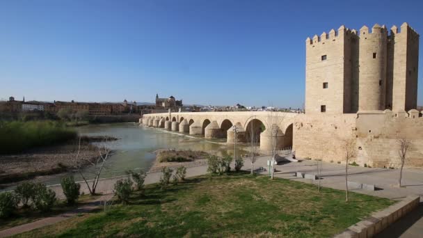 Córdoba, España Paisaje urbano en el Puente Romano y Mezquita-Catedral . — Vídeo de stock