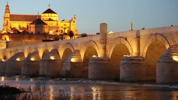 Cordoba, İspanya cityscape Roma köprüsü ve Camii-Cathedral. — Stok video