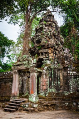 Kamboçya Angkor Thom Pra Khan Tapınağı kalıntıları