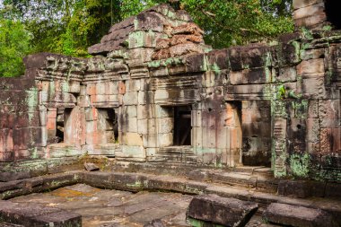 Kamboçya Angkor Thom Pra Khan Tapınağı kalıntıları