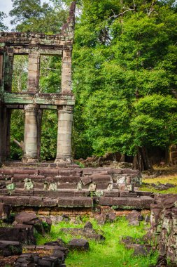 Kamboçya Angkor Thom Pra Khan Tapınağı kalıntıları