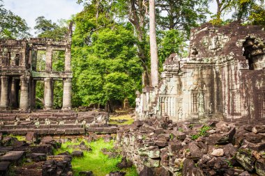Kamboçya Angkor Thom Pra Khan Tapınağı kalıntıları
