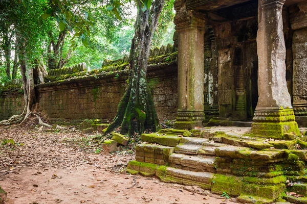 Ruins of Pra Khan Temple in Angkor Thom of Cambodia — Stock Photo, Image