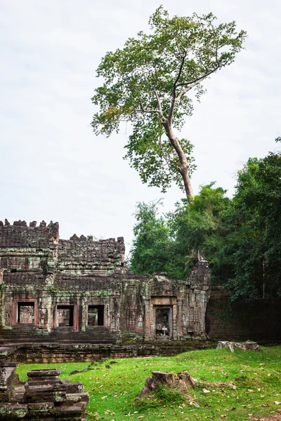 Ruïnes van Pra Khan tempel in Angkor Thom van Kambodja — Stockfoto