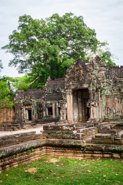 Ruiny świątyni Khan Pra w Angkor Thom Kambodży — Zdjęcie stockowe