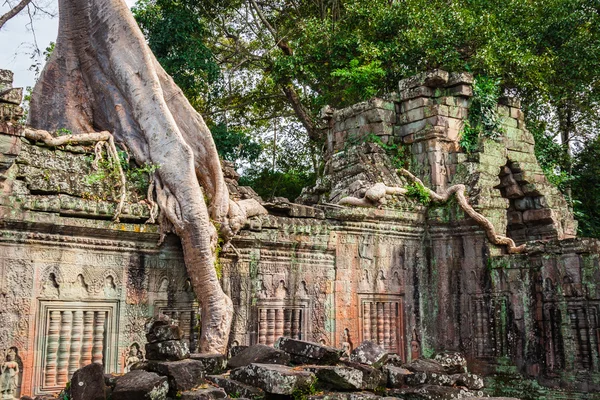 Preah khan tempel, angkor gebied, siem reap, Cambodja — Stockfoto