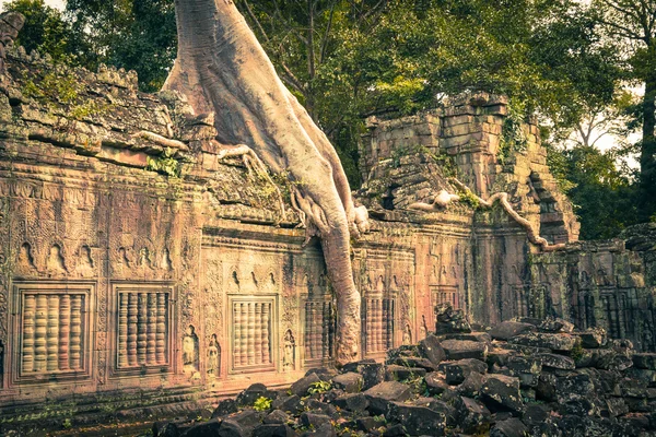 プレア ・ カーン寺院、アンコール地域、シェムリ アップ、カンボジア — ストック写真