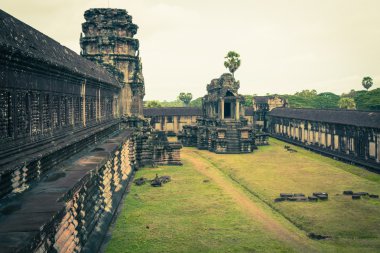 angkor wat tapınağı, siem hasadı, Kamboçya.