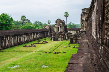 angkor wat tapınağı, siem hasadı, Kamboçya.