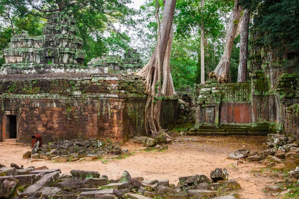Ta Prohm świątyni Angkor, w pobliżu Siem Reap, Kambodża — Zdjęcie stockowe