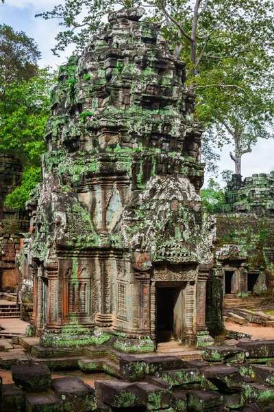 Starożytne ruiny w Ta Prohm lub Rajavihara świątyni Angkor, Siem R — Zdjęcie stockowe