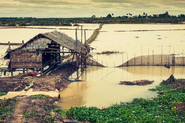 Homes on stilts on the floating village of Kampong Phluk, Tonle — Stock Photo, Image