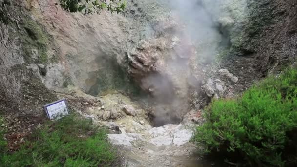 Aguas termales con agua hirviendo en las Caldeiras de la ciudad de Furnas, Isla de Sao Miguel, Azores . — Vídeos de Stock