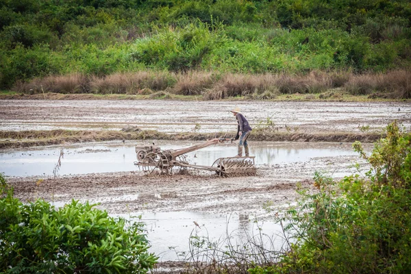 Agriculteur cambodgien dans une rizière — Photo