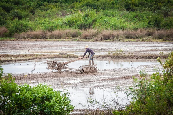 Agricultor camboyano en un campo de arroz — Foto de Stock