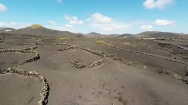Aerial video footage of the La Geria vineyard on black volcanic soil in Lanzarote, Canary Islands