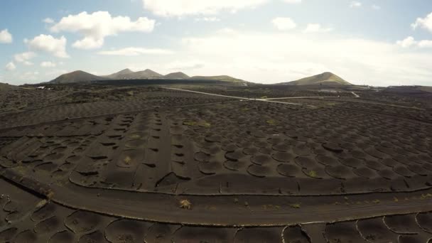 Aerial video footage of the La Geria vineyard on black volcanic soil in Lanzarote, Canary Islands — ストック動画