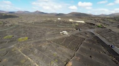 Aerial video footage of the La Geria vineyard on black volcanic soil in Lanzarote, Canary Islands